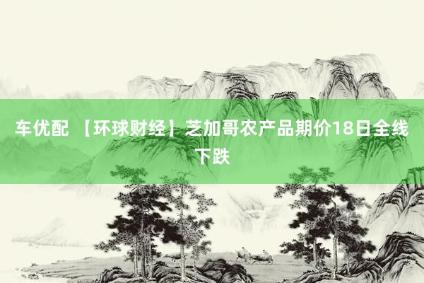 车优配 【环球财经】芝加哥农产品期价18日全线下跌